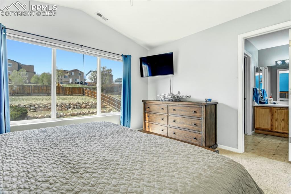 7533 Sistine Lane Fountain CO 80817