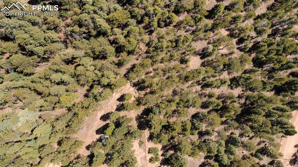 2255 Elk Park Road Larkspur CO 80118