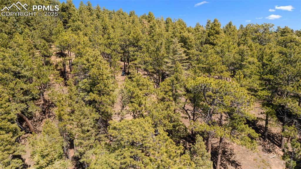 2255 Elk Park Road Larkspur CO 80118