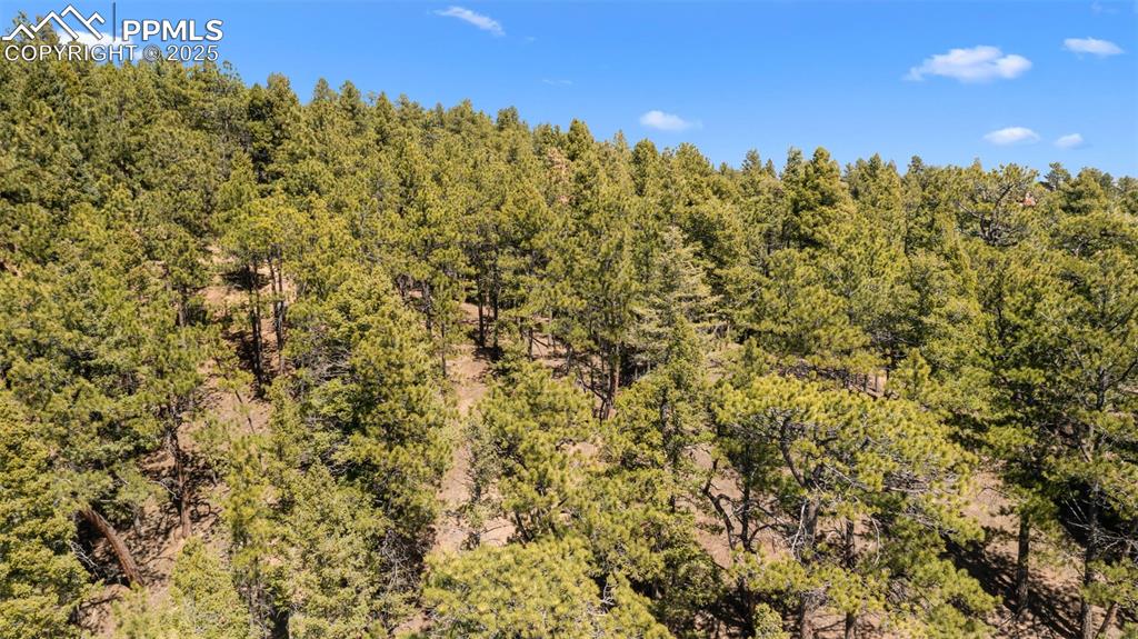 2255 Elk Park Road Larkspur CO 80118