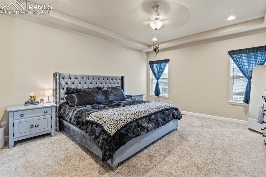 7194 Peachleaf Drive Colorado Springs CO 80925