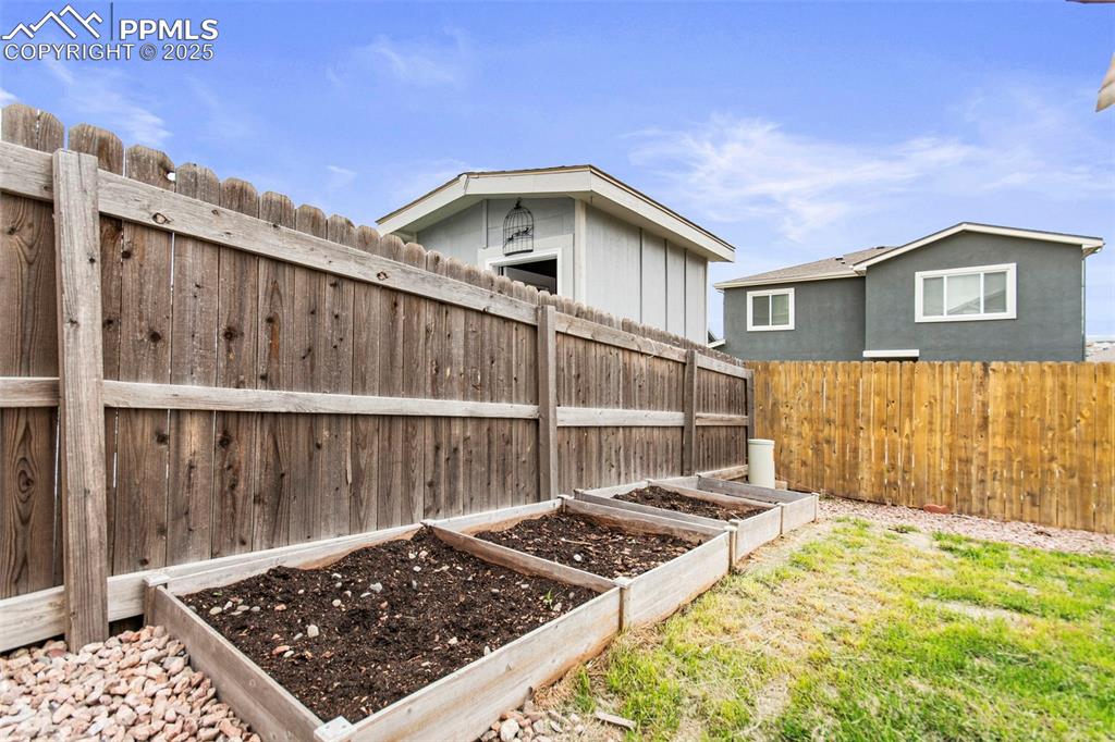 7194 Peachleaf Drive Colorado Springs CO 80925