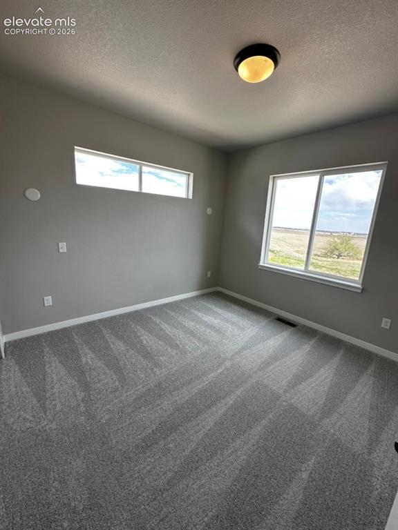 8327 Robert Allison Circle Colorado Springs CO 80908