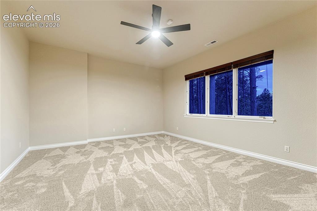 16152 Timber Meadow Drive Colorado Springs CO 80908