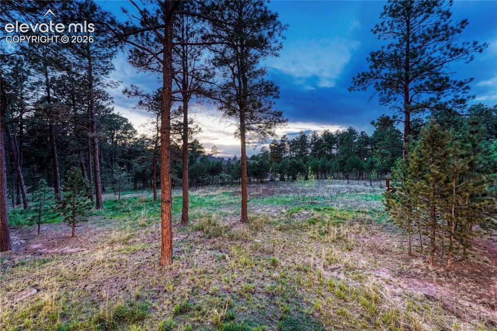 16152 Timber Meadow Drive Colorado Springs CO 80908