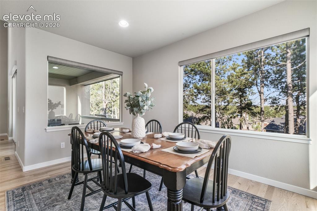 16267 Thunder Cat Way Monument CO 80132