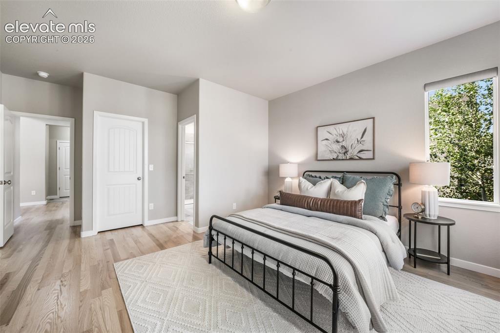 16267 Thunder Cat Way Monument CO 80132