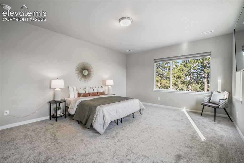 16267 Thunder Cat Way Monument CO 80132