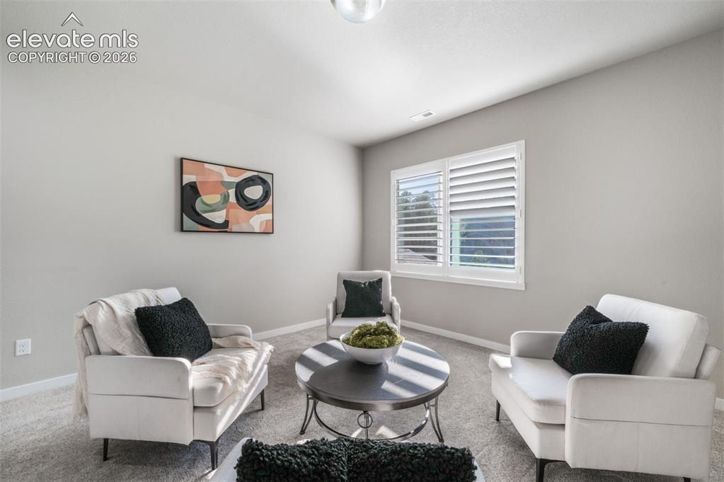 16267 Thunder Cat Way Monument CO 80132