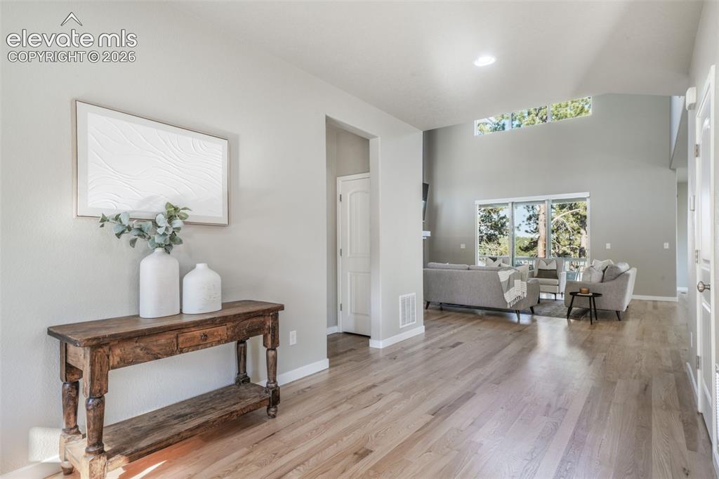16267 Thunder Cat Way Monument CO 80132