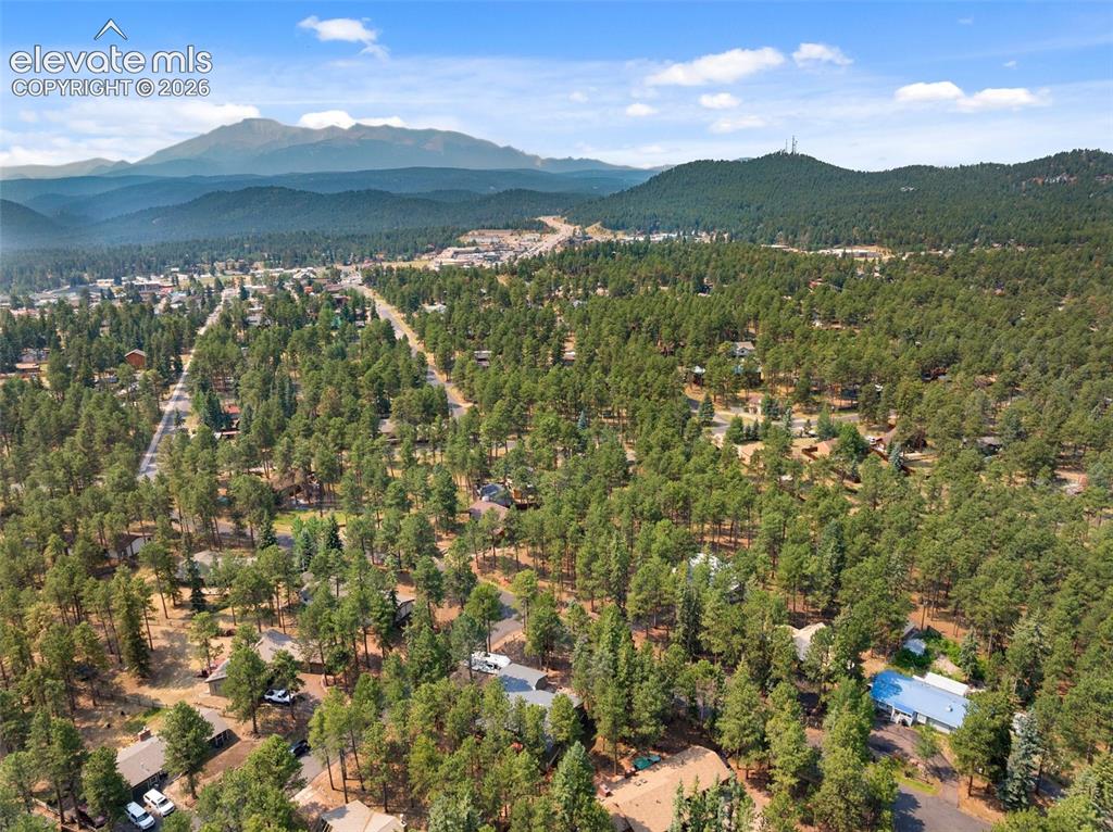 723 Pine Street Woodland Park CO 80863