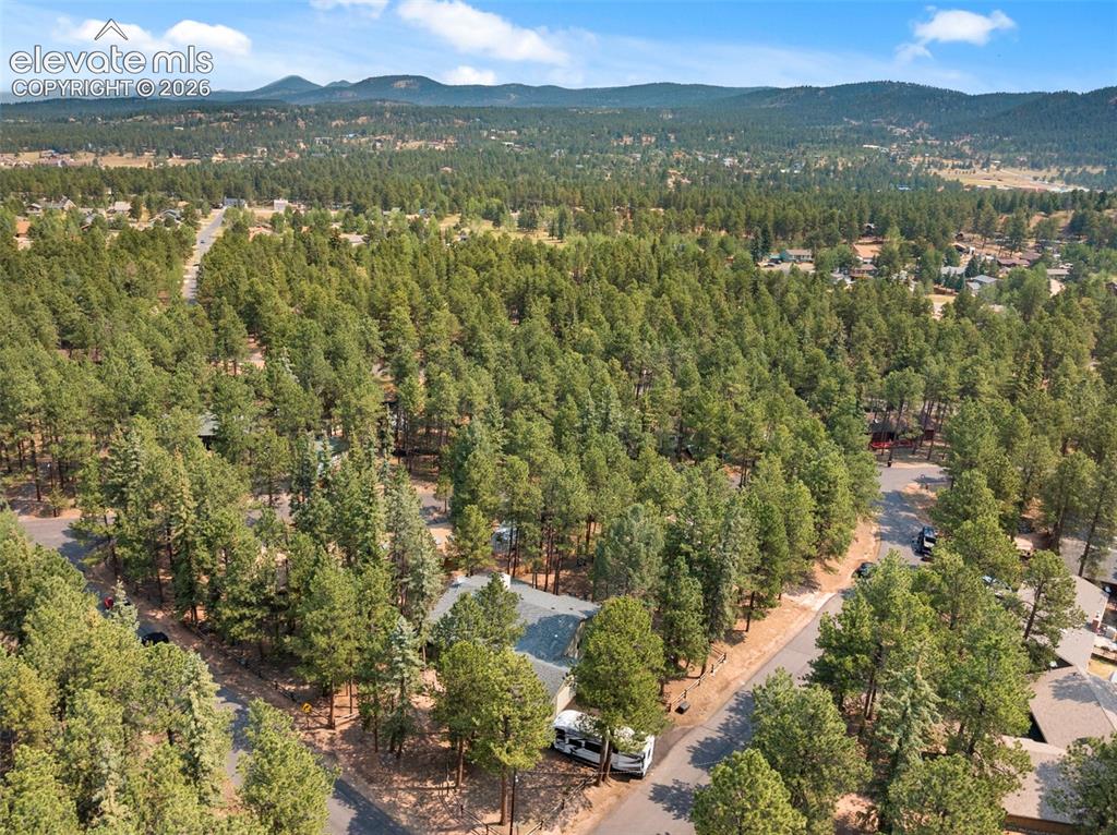723 Pine Street Woodland Park CO 80863