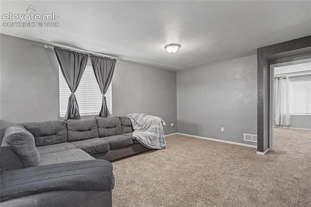 8355 Colorado Spruce Lane Colorado Springs CO 80927