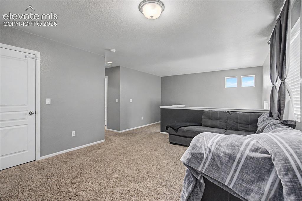 8355 Colorado Spruce Lane Colorado Springs CO 80927