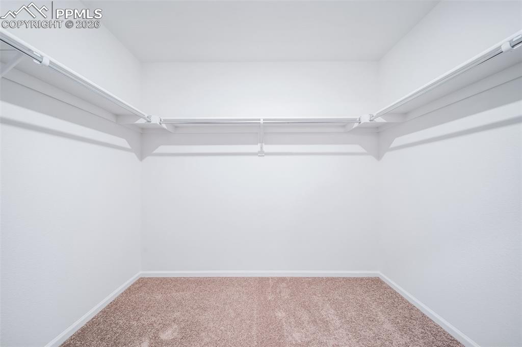 4913 Eddleman Court Colorado Springs CO 80925