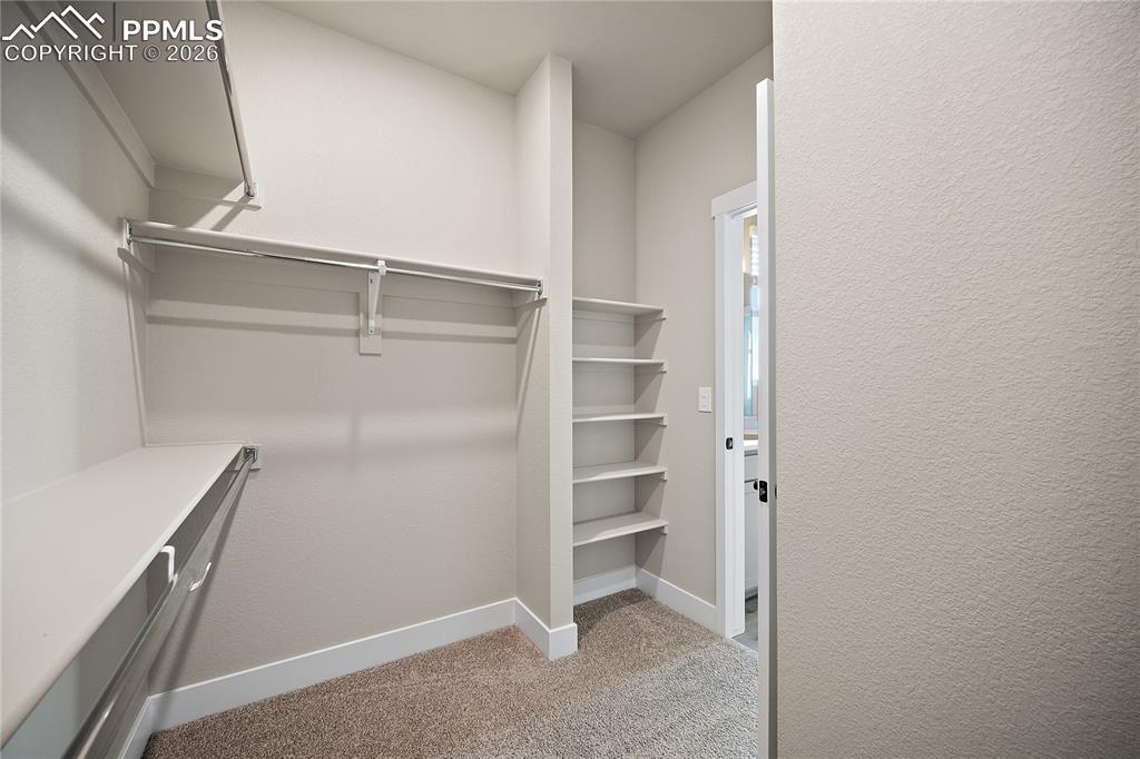 5373 Sidewinder Drive Colorado Springs CO 80925