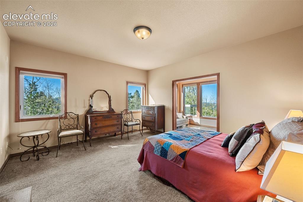 131 Paradiso Road Divide CO 80814
