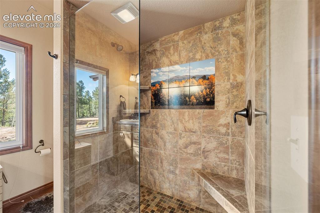 131 Paradiso Road Divide CO 80814