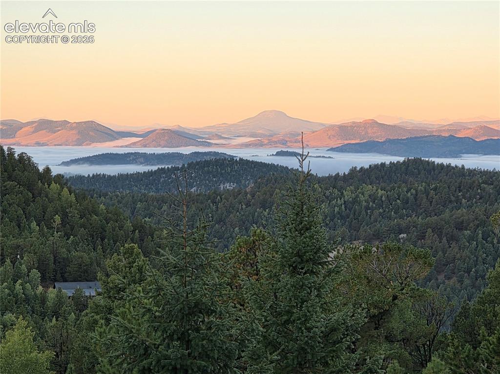 131 Paradiso Road Divide CO 80814