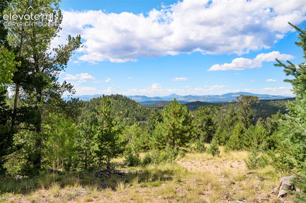 131 Paradiso Road Divide CO 80814