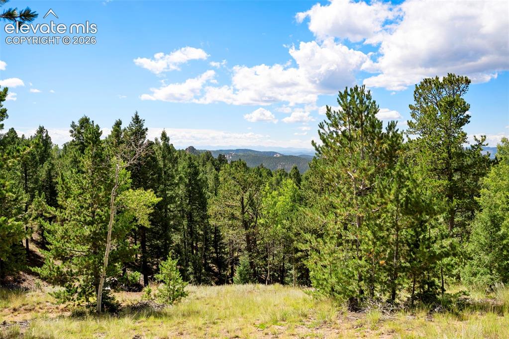 131 Paradiso Road Divide CO 80814