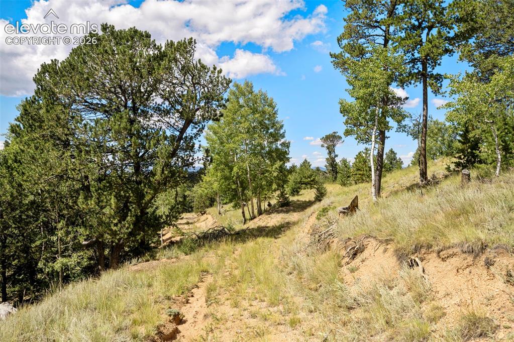 131 Paradiso Road Divide CO 80814
