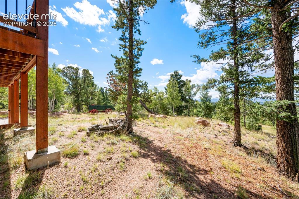 131 Paradiso Road Divide CO 80814