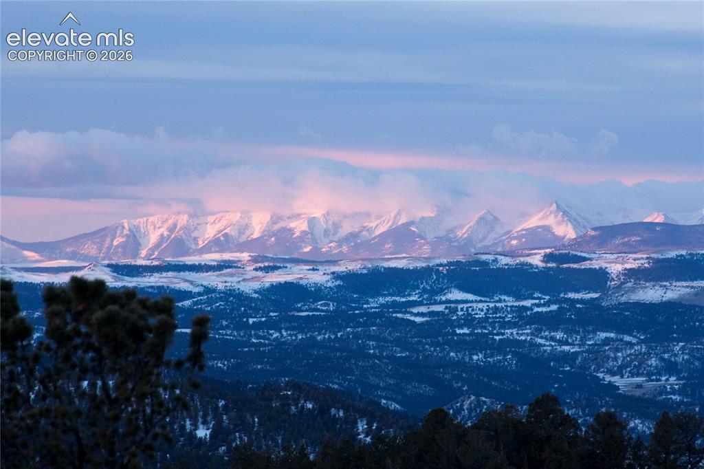 131 Paradiso Road Divide CO 80814
