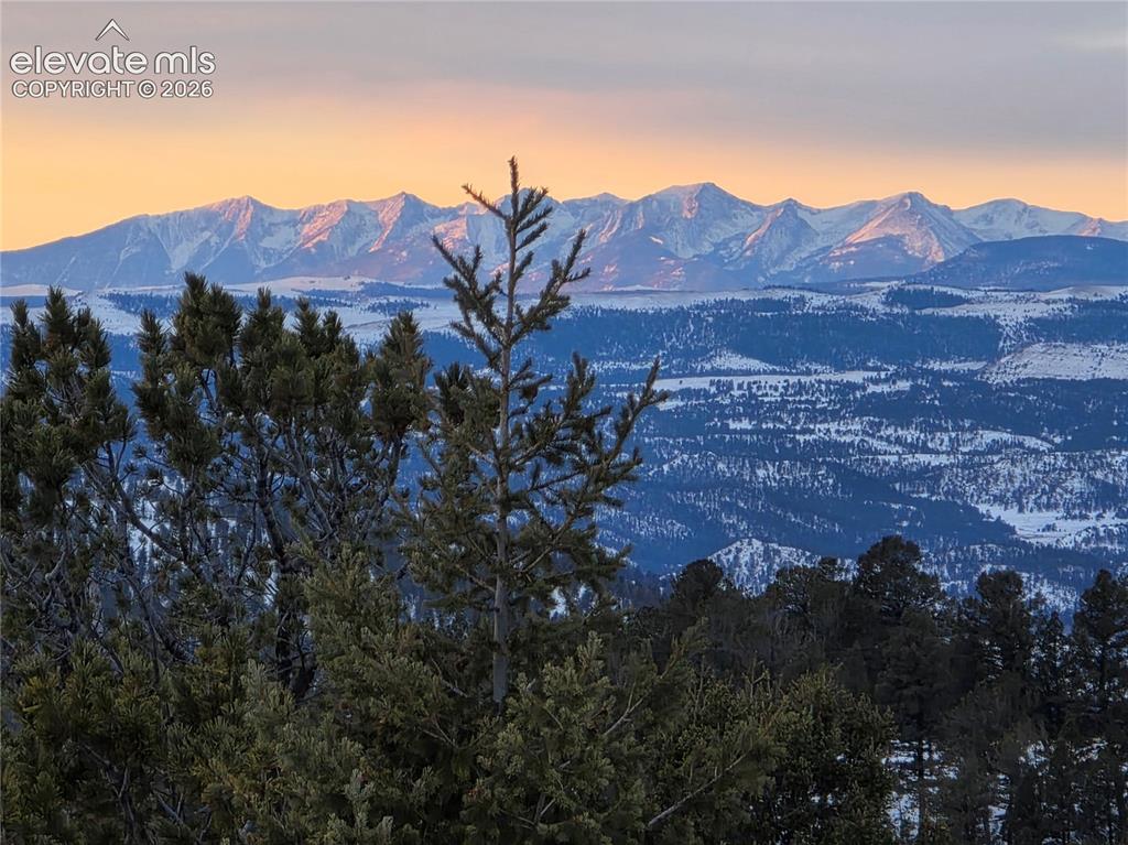 131 Paradiso Road Divide CO 80814