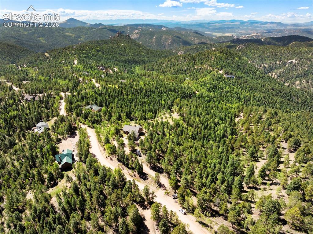131 Paradiso Road Divide CO 80814
