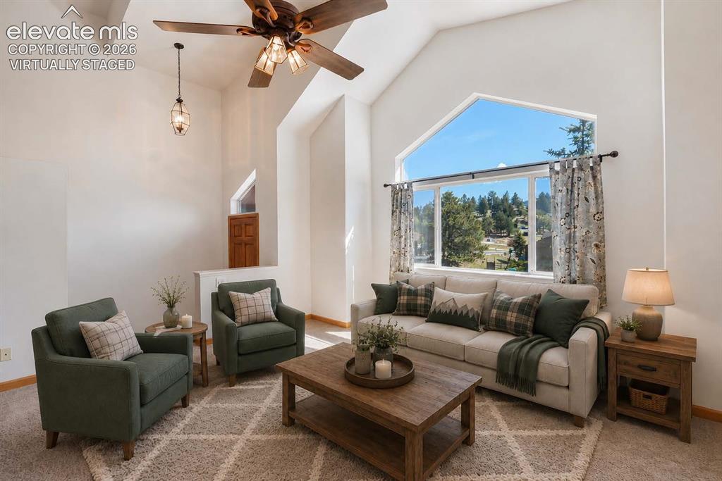 481 Black Bear Trail Woodland Park CO 80863