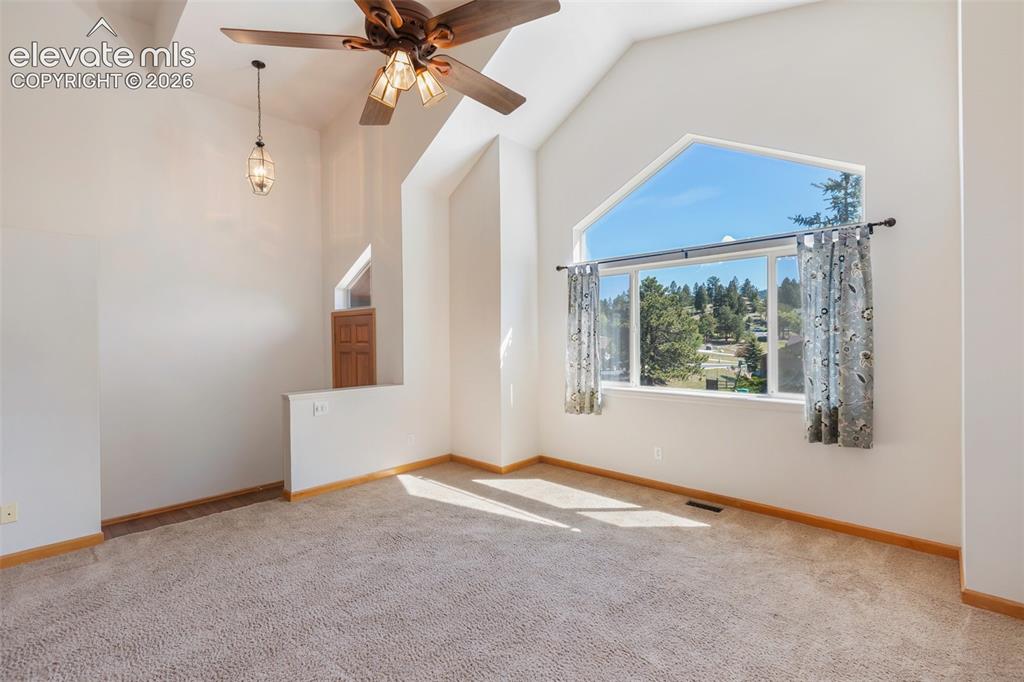 481 Black Bear Trail Woodland Park CO 80863