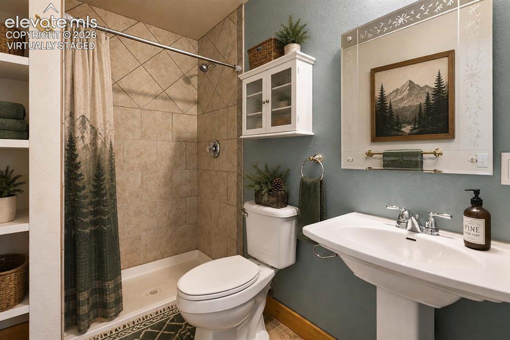 481 Black Bear Trail Woodland Park CO 80863