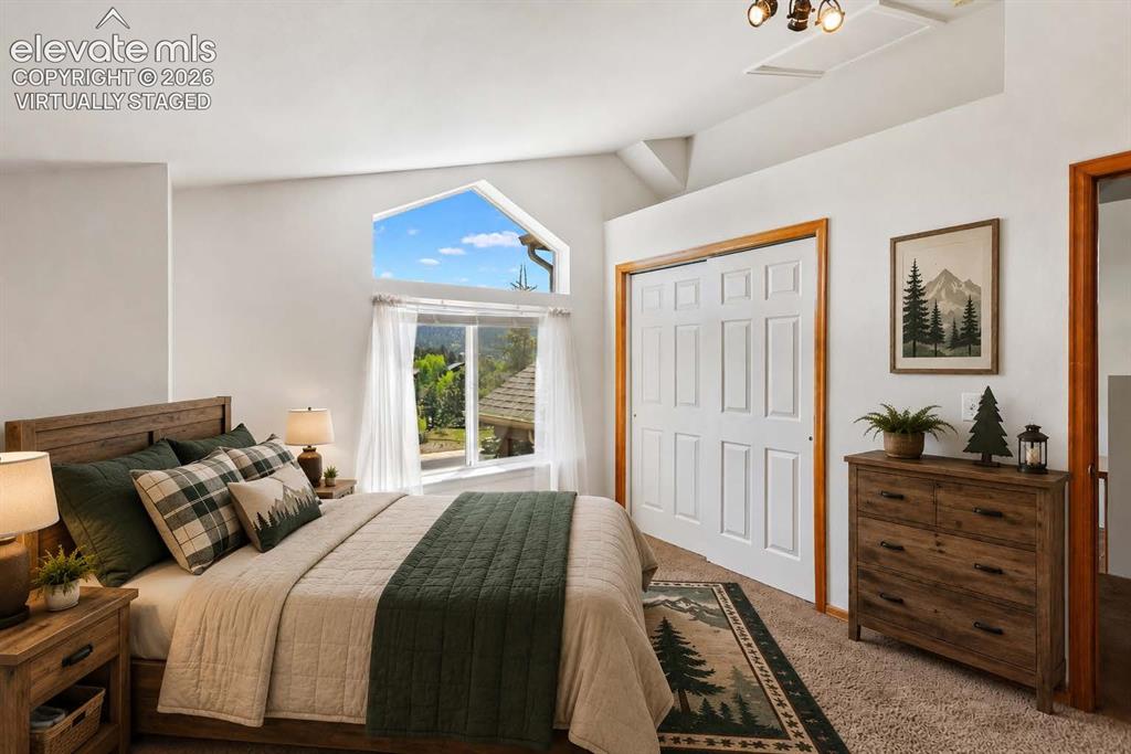 481 Black Bear Trail Woodland Park CO 80863