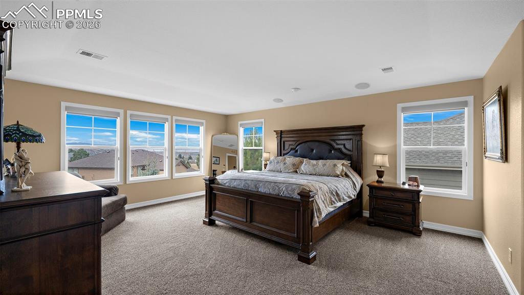 1547 Ridgetrail Court Castle Rock CO 80104