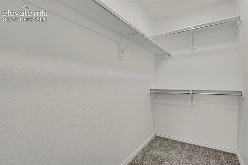 6273 Scottsbluff Drive Colorado Springs CO 80923