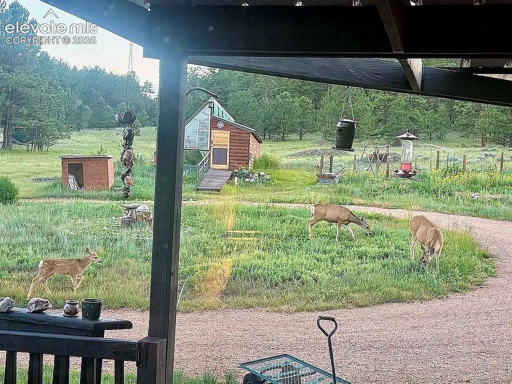 475 Sioux Road Florissant CO 80816