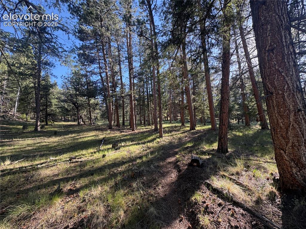 475 Sioux Road Florissant CO 80816