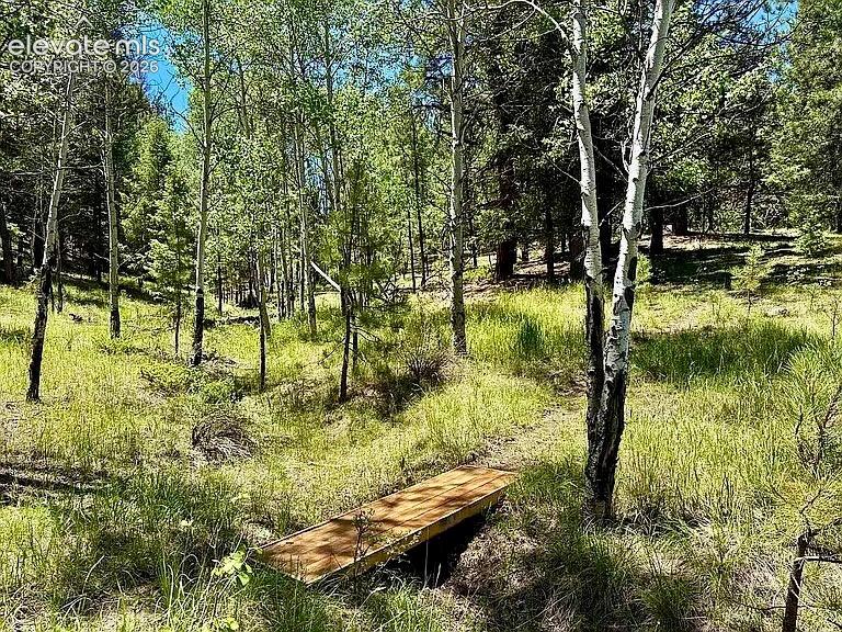 475 Sioux Road Florissant CO 80816