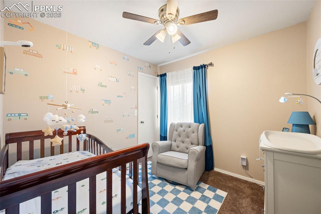 8720 Boxelder Drive Colorado Springs CO 80920