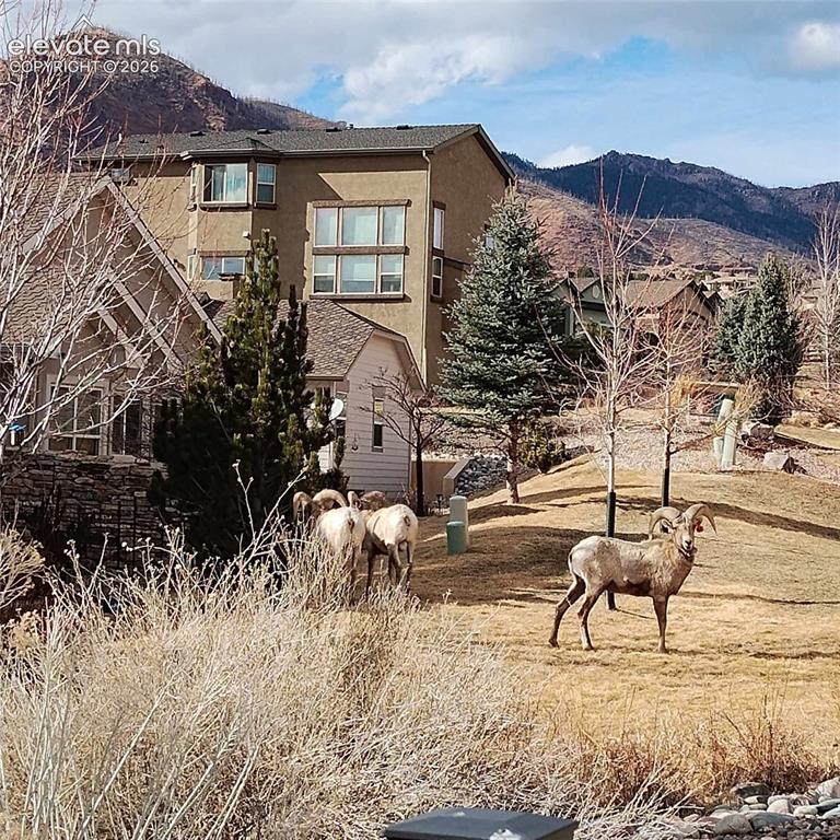5454 Majestic Drive Colorado Springs CO 80919