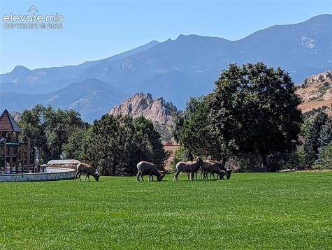 5454 Majestic Drive Colorado Springs CO 80919