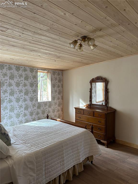 3800 Doe Valley Road Guffey CO 80820