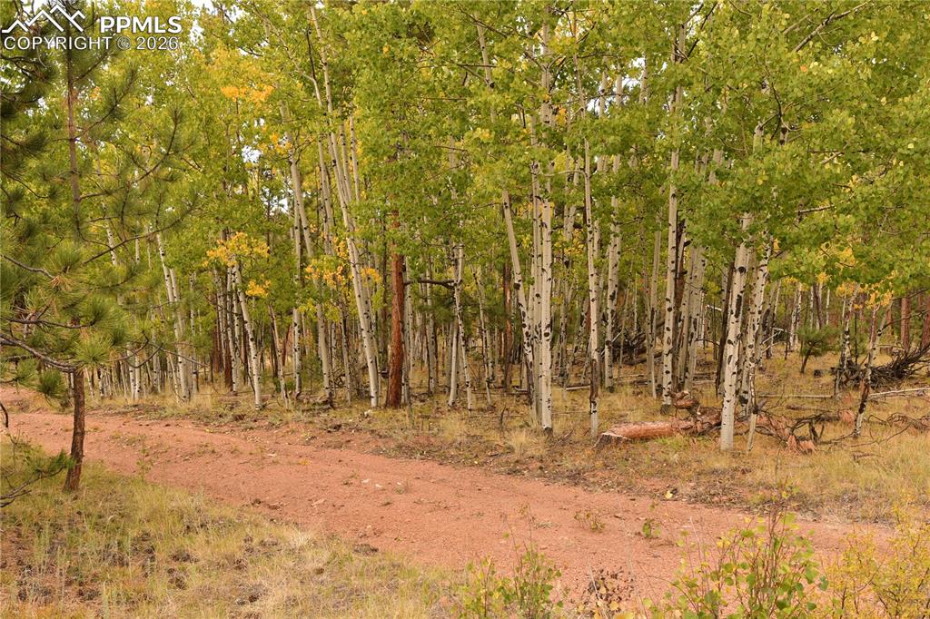 3800 Doe Valley Road Guffey CO 80820