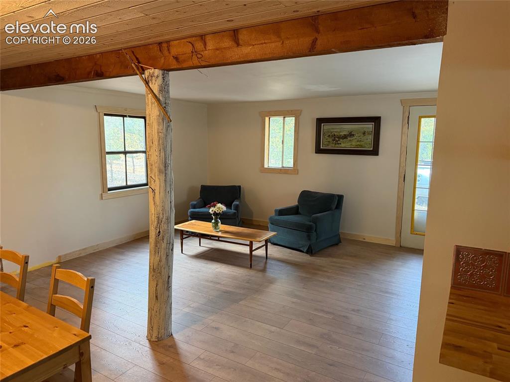 3800 Doe Valley Road Guffey CO 80820