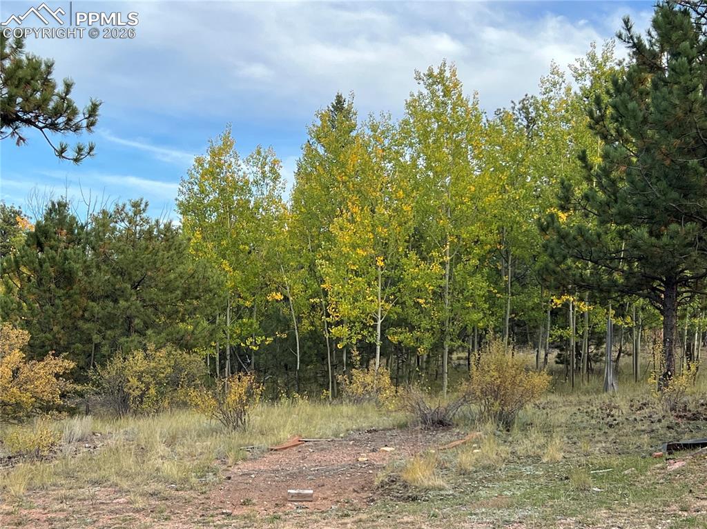 3800 Doe Valley Road Guffey CO 80820