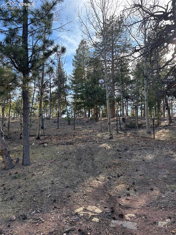 3800 Doe Valley Road Guffey CO 80820