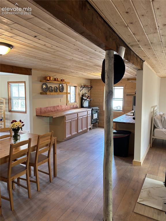 3800 Doe Valley Road Guffey CO 80820