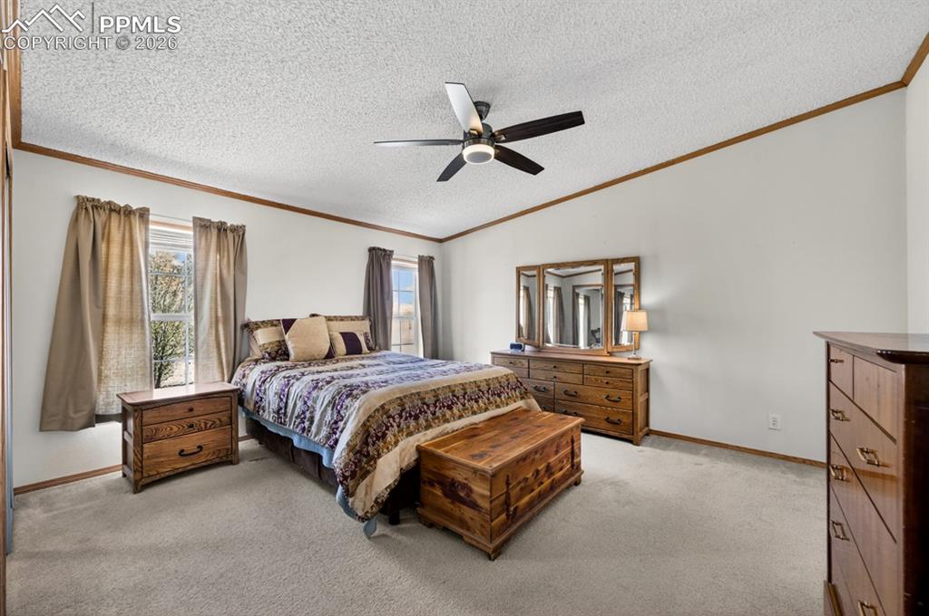 755 High Prairie Point Calhan CO 80808
