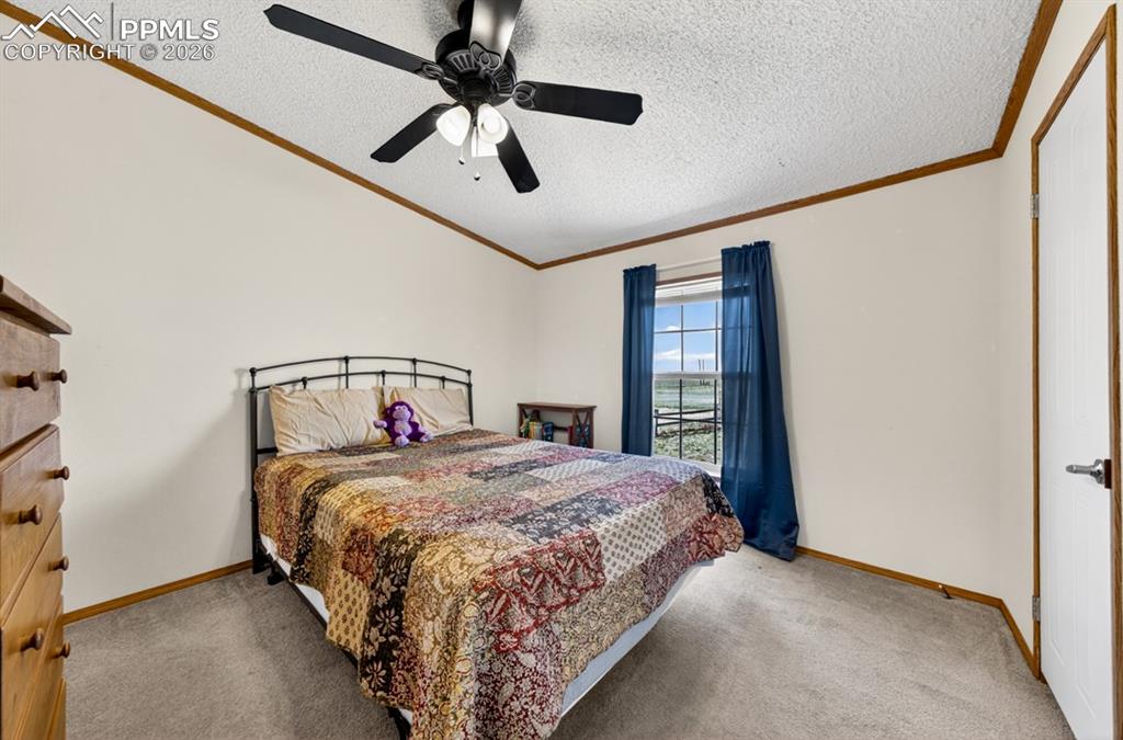 755 High Prairie Point Calhan CO 80808